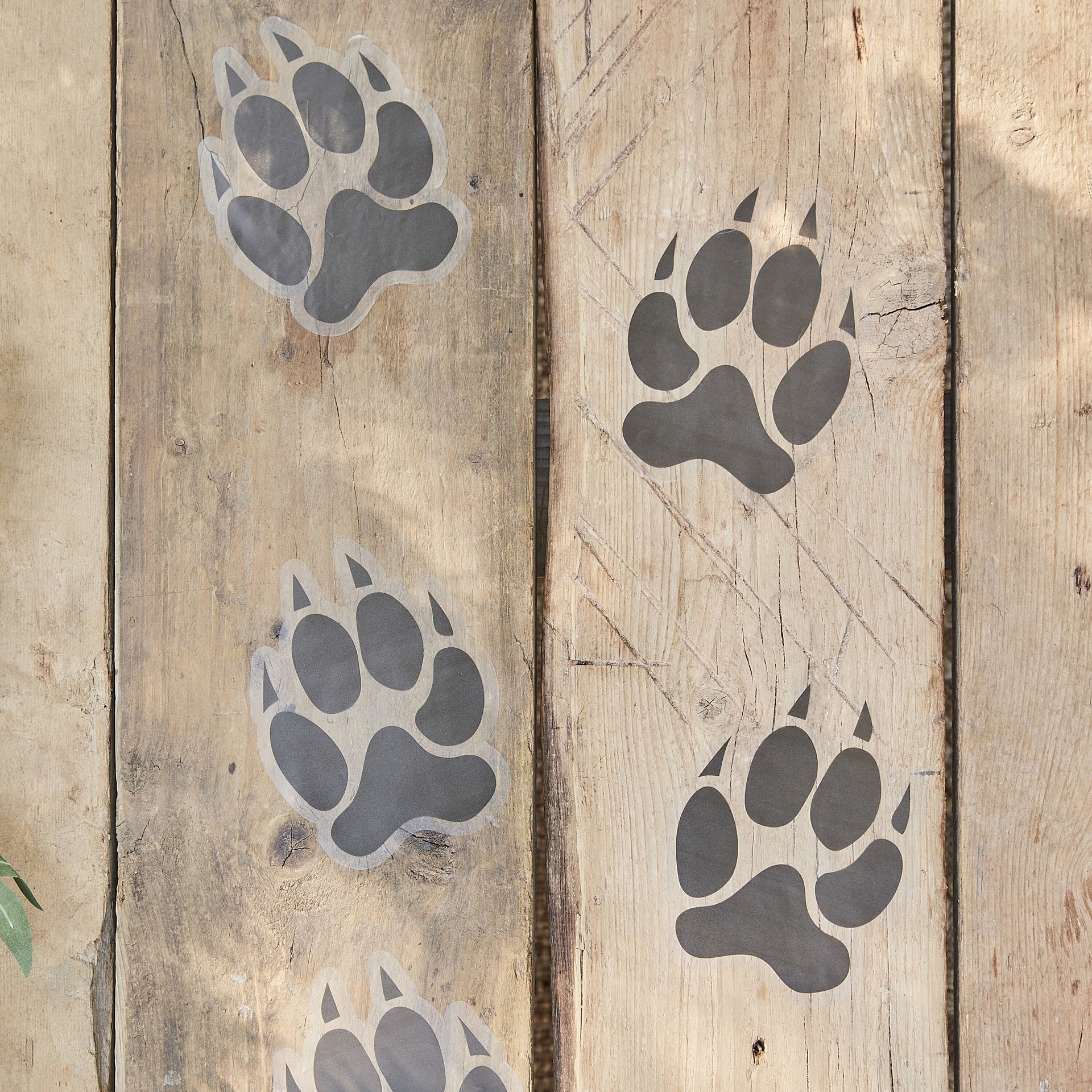 Ginger Ray® Nalepke Animal Pawprint Floor Stickers Ginger Ray