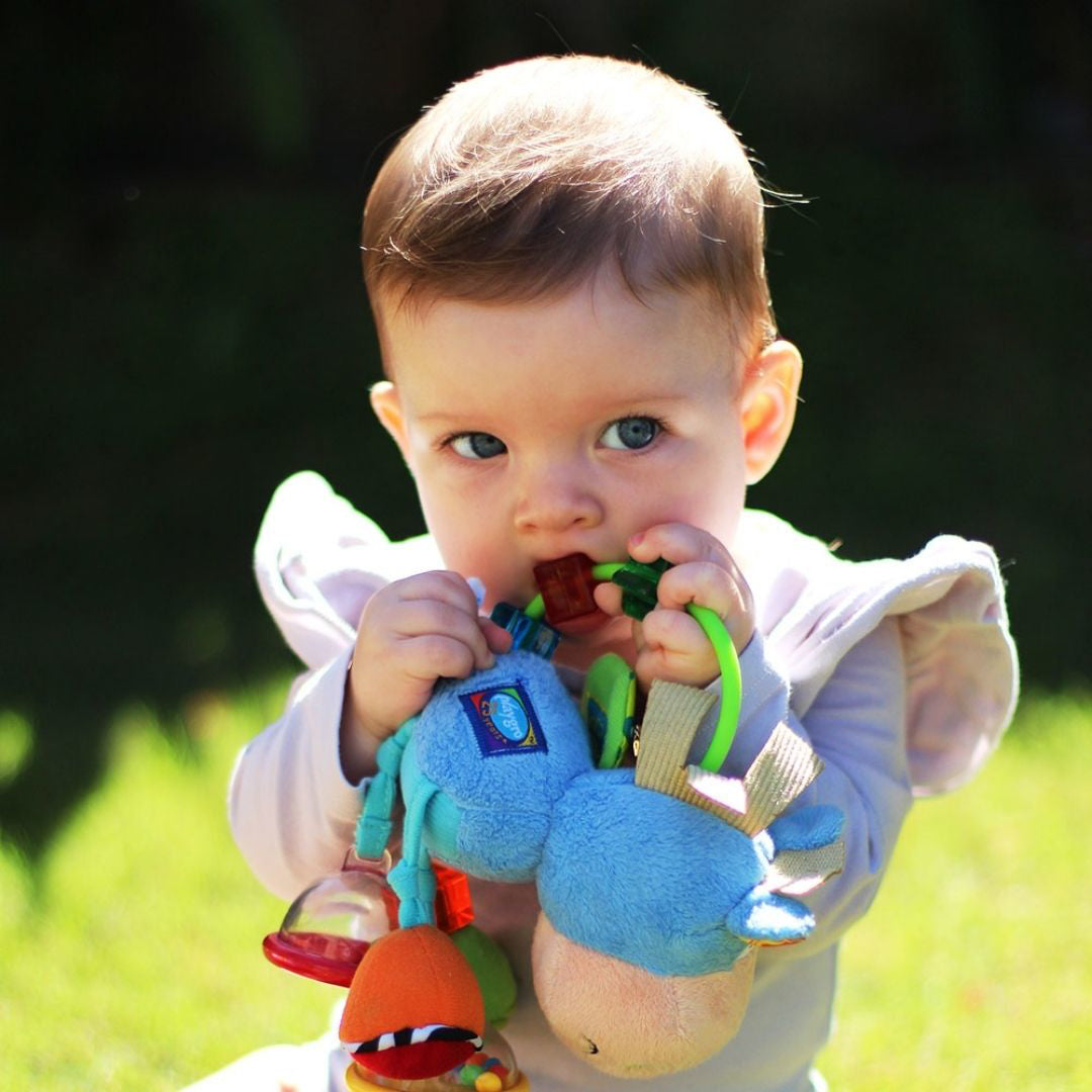 Playgro® Aktivna Ropotuljica Playgro