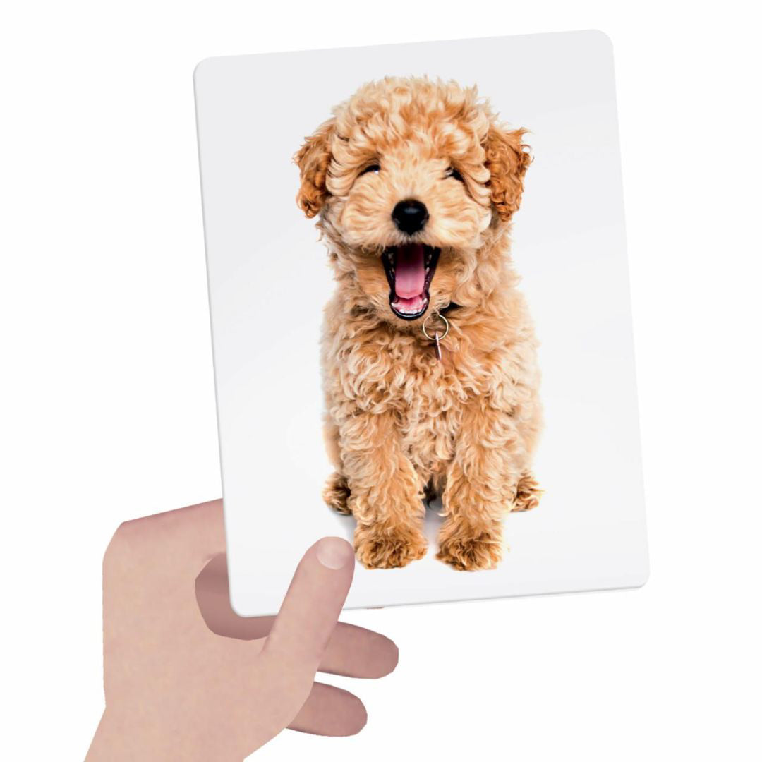 Headu® Montessori taktilne kartice Headu