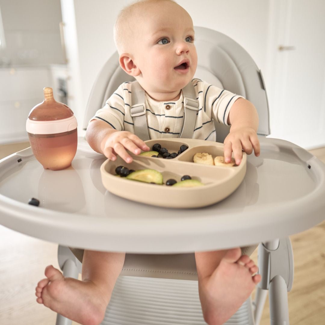 Anex® Stolček za hranjenje 3v1 Ozy Shade Anex