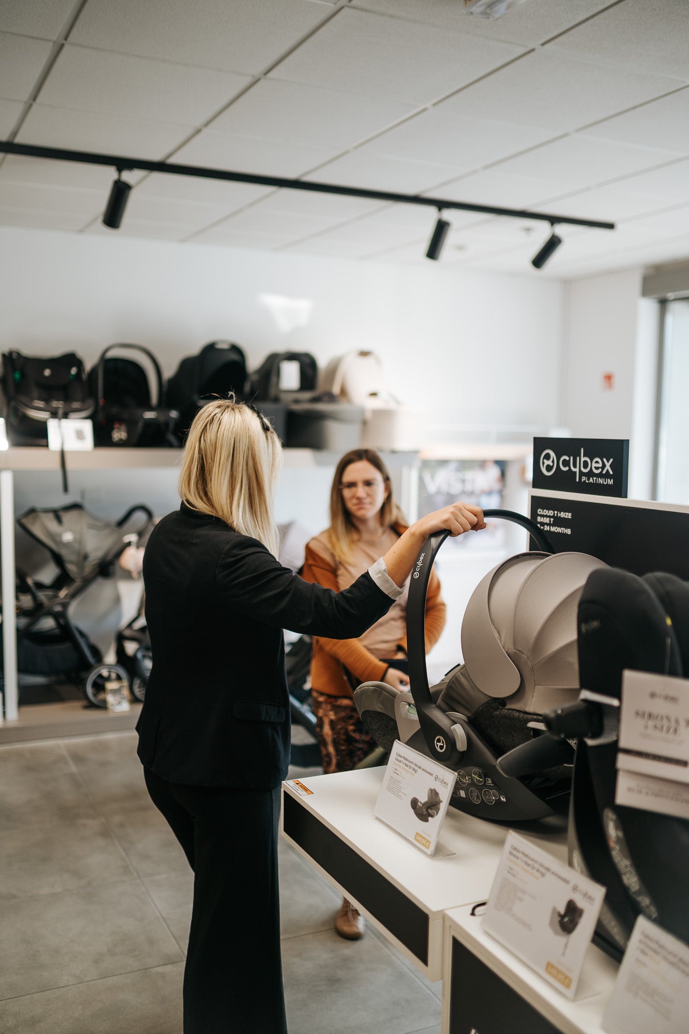 Osebno svetovanje Evitas