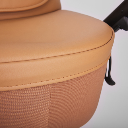 Slika za Anex® Dječja kolica s košarom i ruksakom 2u1 E/Type (0-22kg) Caramel  