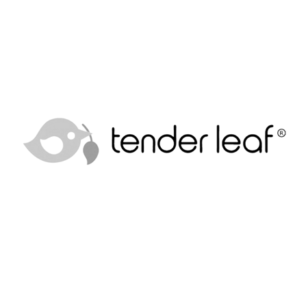 Slika za Tender Leaf Toys® Igračka Mr. Forrester and his Dog