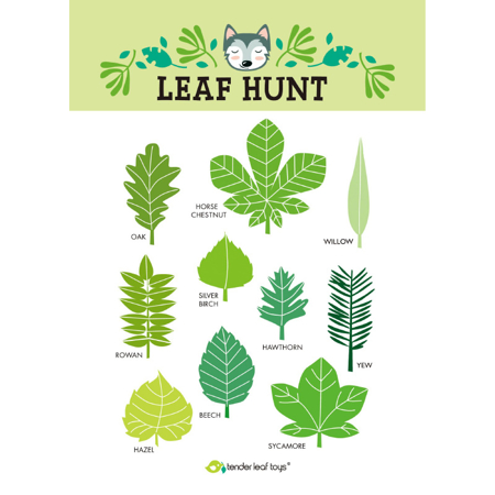 Slika za Tender Leaf Toys® Set za pretraživanje šume Forest trail 