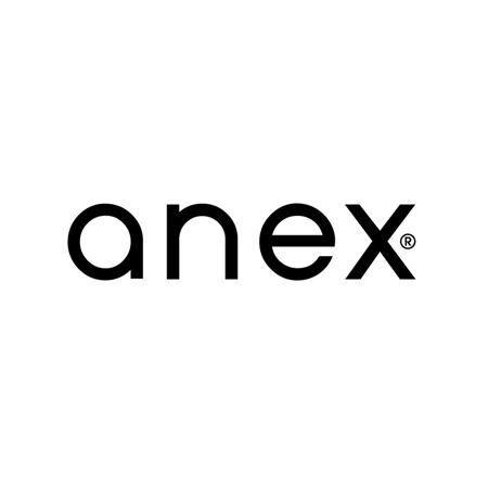 Slika za Anex® Dječja kolica s košarom 2u1 L/Type (0-22kg) Onyx 