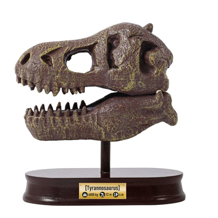Slika za Buki® Set za iskopavanje lobanje Dino Museum Tyrannosaurus