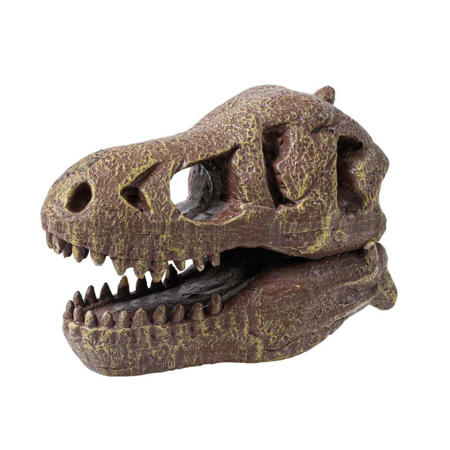 Slika za Buki® Set za iskopavanje lobanje Dino Museum Tyrannosaurus